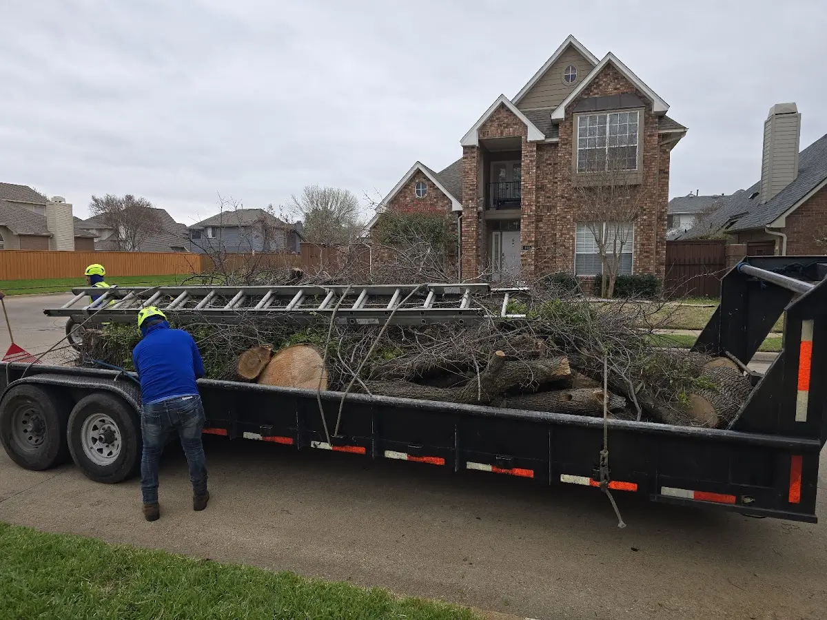 Expert Tree Pest Control with proper safety equipment in Martinsville